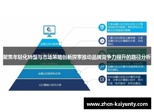 聚焦年轻化转型与市场策略创新探索推动品牌竞争力提升的路径分析