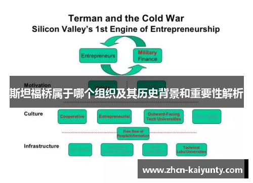 斯坦福桥属于哪个组织及其历史背景和重要性解析