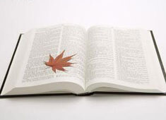 尼斯主场大胜摩纳哥，尼姆的蓝色旋风席卷法兰西！