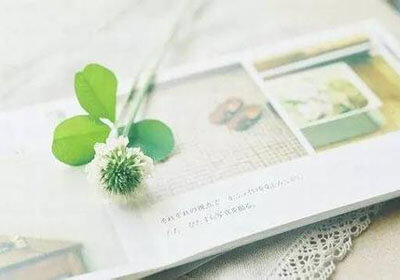 尼斯主场大胜摩纳哥，尼姆的蓝色旋风席卷法兰西！