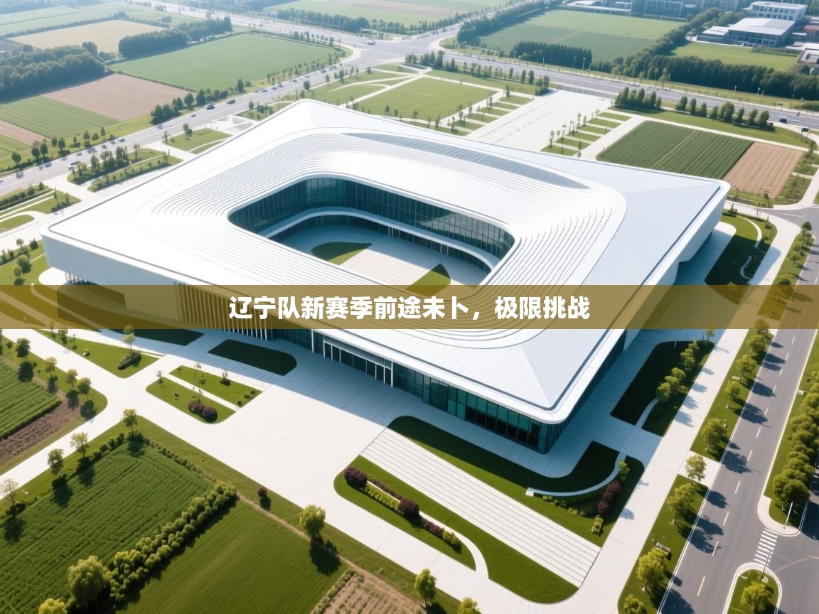 辽宁队新赛季前途未卜，极限挑战